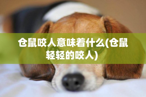 倉鼠咬人意味著什么(倉鼠輕輕的咬人) 