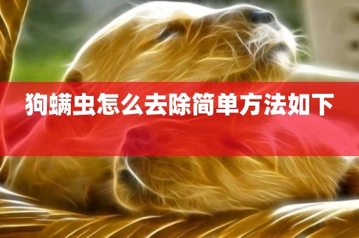 狗螨蟲怎么去除簡單方法如下 