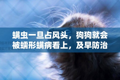 螨蟲一旦占風頭，狗狗就會被蠕形螨病看上，及早防治是王道 