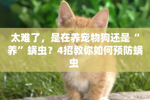太難了，是在養寵物狗還是“養”螨蟲？4招教你如何預防螨蟲 