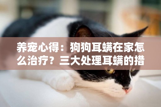 養寵心得：狗狗耳螨在家怎么治療？三大處理耳螨的措施參考 