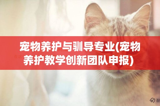 寵物養護與馴導專業(寵物養護教學創新團隊申報) 