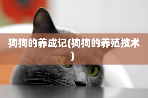 狗狗的養成記(狗狗的養殖技術) 