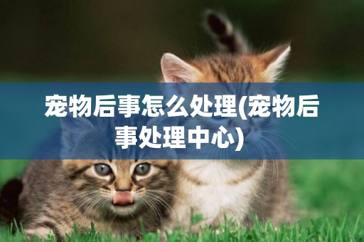 寵物后事怎么處理(寵物后事處理中心) 