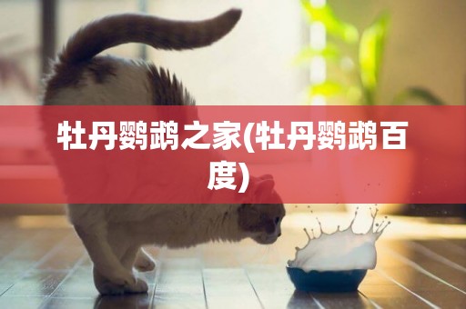 牡丹鸚鵡之家(牡丹鸚鵡百度) 