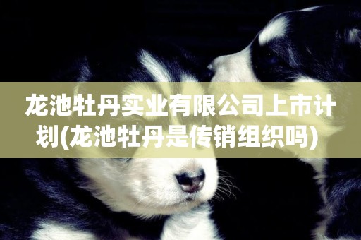 龍池牡丹實業有限公司上市計劃(龍池牡丹是傳銷組織嗎) 