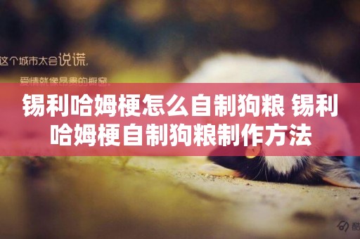 錫利哈姆梗怎么自制狗糧 錫利哈姆梗自制狗糧制作方法