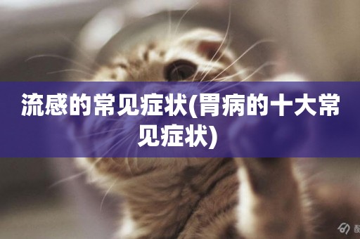流感的常見癥狀(胃病的十大常見癥狀) 