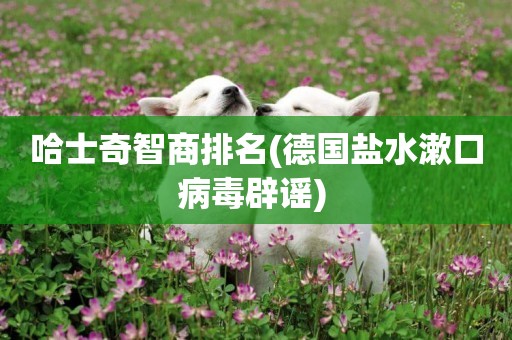 哈士奇智商排名(德國鹽水漱口病毒辟謠) 
