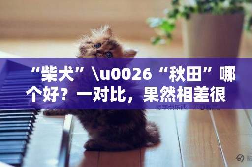 “柴犬”\u0026“秋田”哪個好？一對比，果然相差很多 
