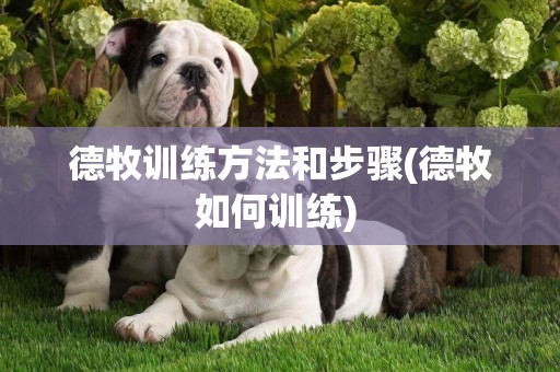德牧訓練方法和步驟(德牧如何訓練) 