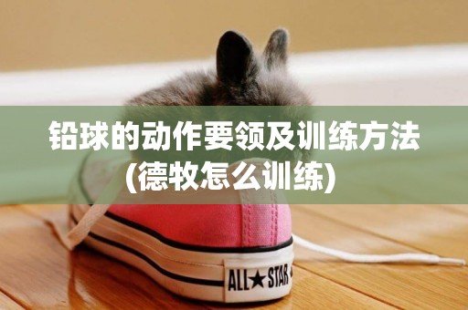 鉛球的動作要領及訓練方法(德牧怎么訓練) 