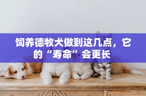 飼養德牧犬做到這幾點，它的“壽命”會更長 