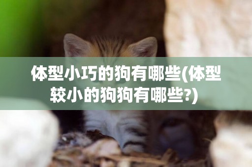 體型小巧的狗有哪些(體型較小的狗狗有哪些?) 