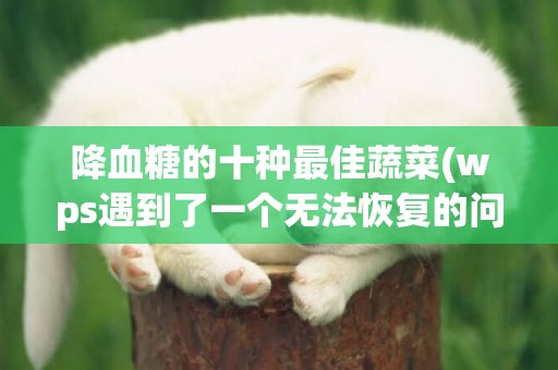 降血糖的十種最佳蔬菜(wps遇到了一個無法恢復的問題怎么回事) 