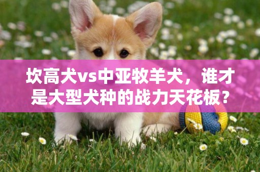 坎高犬vs中亞牧羊犬，誰才是大型犬種的戰力天花板？ 