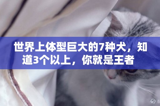 世界上體型巨大的7種犬，知道3個以上，你就是王者 