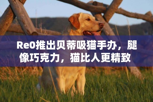 Re0推出貝蒂吸貓手辦，腿像巧克力，貓比人更精致 