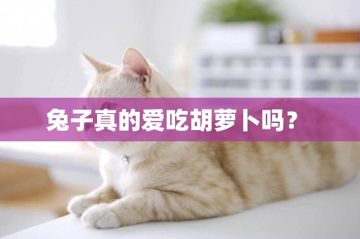 兔子真的愛吃胡蘿卜嗎？ 