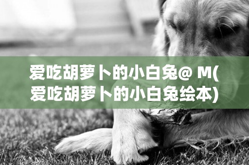 愛吃胡蘿卜的小白兔@ M(愛吃胡蘿卜的小白兔繪本) 
