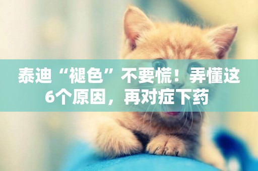 泰迪“褪色”不要慌！弄懂這6個原因，再對癥下藥 