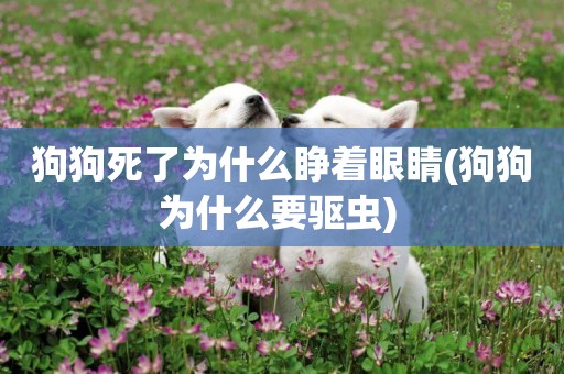 狗狗死了為什么睜著眼睛(狗狗為什么要驅蟲) 