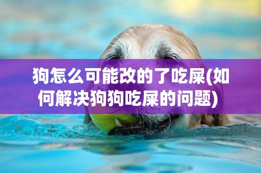 狗怎么可能改的了吃屎(如何解決狗狗吃屎的問題) 