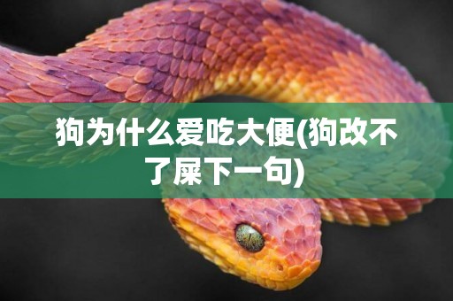 狗為什么愛吃大便(狗改不了屎下一句) 