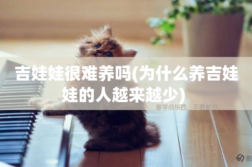 吉娃娃很難養嗎(為什么養吉娃娃的人越來越少) 