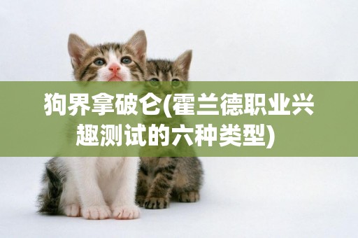 狗界拿破侖(霍蘭德職業興趣測試的六種類型) 