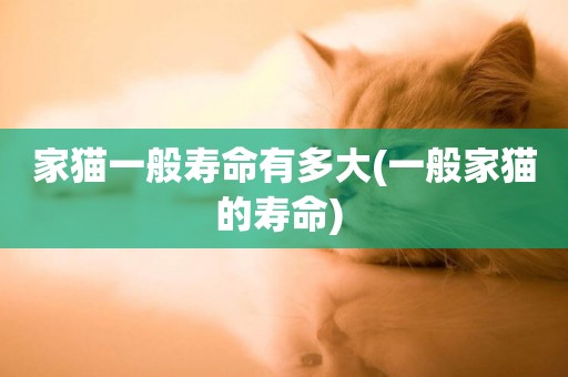 家貓一般壽命有多大(一般家貓的壽命) 