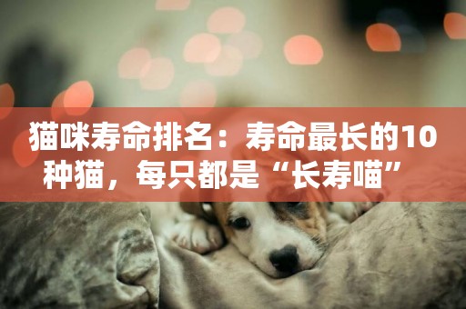 貓咪壽命排名：壽命最長的10種貓，每只都是“長壽喵” 