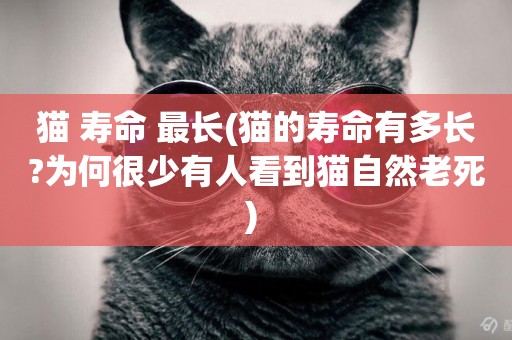 貓 壽命 最長(貓的壽命有多長?為何很少有人看到貓自然老死) 