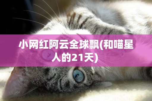 小網紅阿云全球飄(和喵星人的21天) 