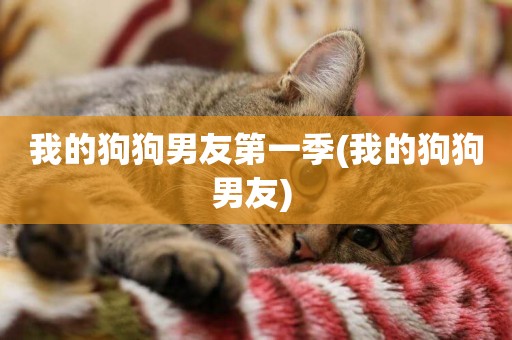 我的狗狗男友第一季(我的狗狗男友) 