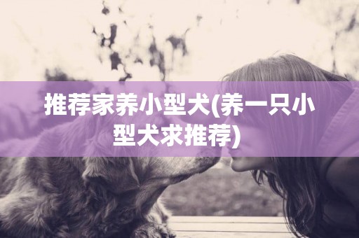 推薦家養小型犬(養一只小型犬求推薦) 