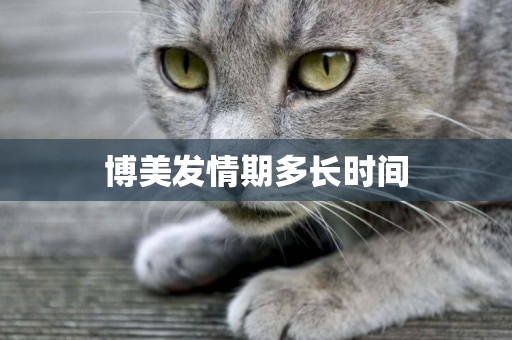 博美發情期多長時間