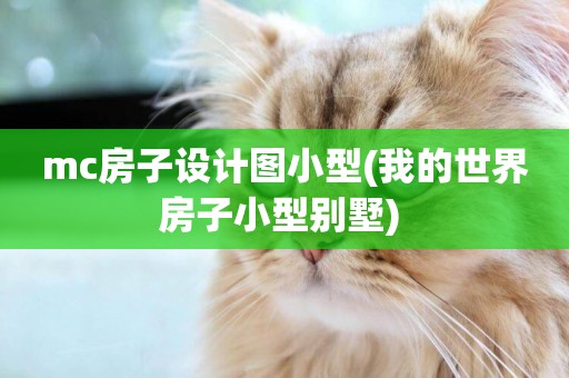 mc房子設計圖小型(我的世界房子小型別墅) 