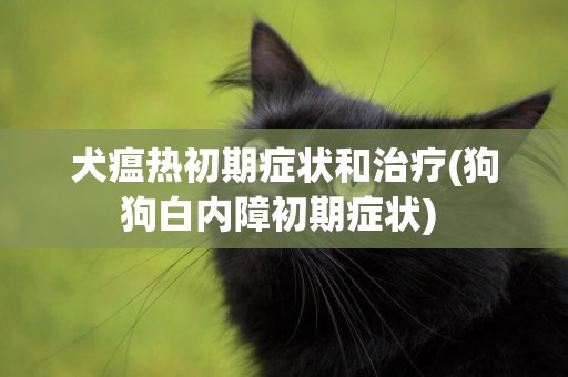 犬瘟熱初期癥狀和治療(狗狗白內障初期癥狀) 