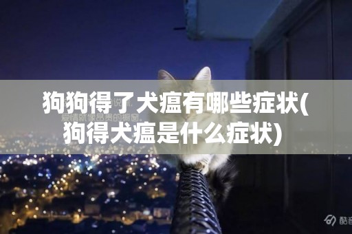 狗狗得了犬瘟有哪些癥狀(狗得犬瘟是什么癥狀) 