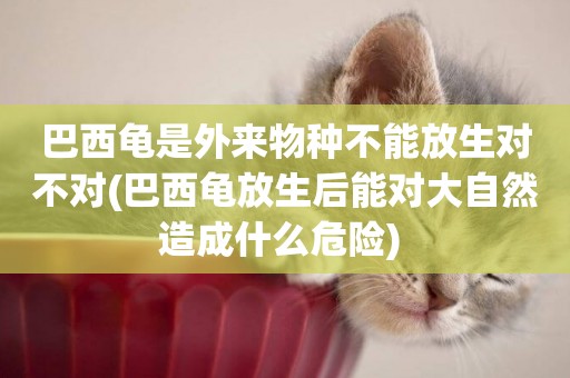 巴西龜是外來物種不能放生對不對(巴西龜放生后能對大自然造成什么危險) 
