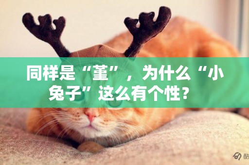 同樣是“堇”，為什么“小兔子”這么有個性？ 