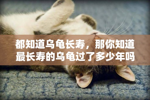都知道烏龜長壽，那你知道最長壽的烏龜過了多少年嗎？ 