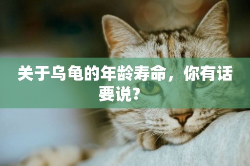 關于烏龜的年齡壽命，你有話要說？ 
