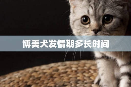 博美犬發情期多長時間