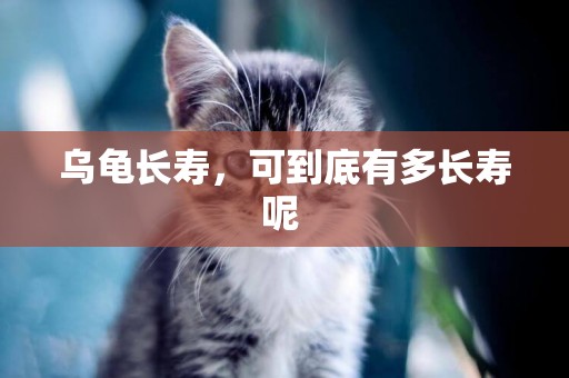烏龜長壽，可到底有多長壽呢 
