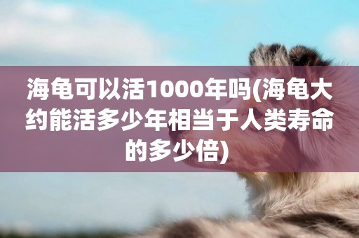 海龜可以活1000年嗎(海龜大約能活多少年相當于人類壽命的多少倍) 