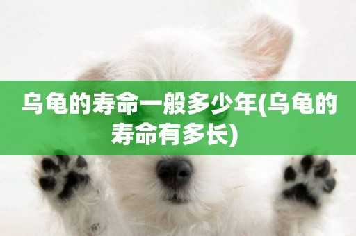 烏龜的壽命一般多少年(烏龜的壽命有多長) 