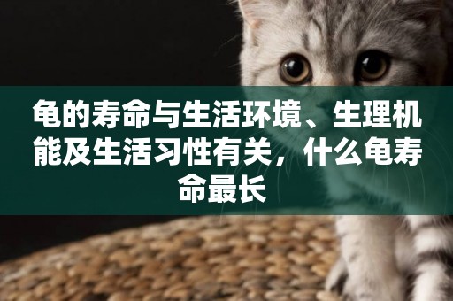 龜的壽命與生活環境、生理機能及生活習性有關，什么龜壽命最長 