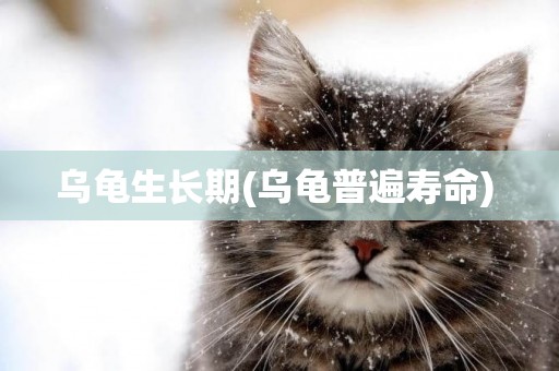 烏龜生長期(烏龜普遍壽命) 